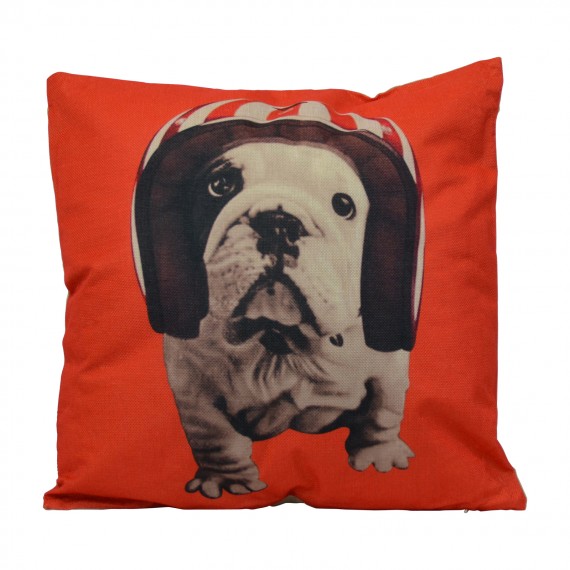 Geweldige hond gooien kussen