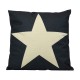 Cojín Whitw Star
